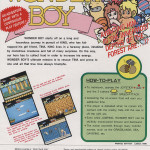 wonder_boy_arcade_game